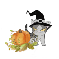 The fat American Shorthair cat who look serious and wears a big witch hat stand behind pumpkin, green leaves. png