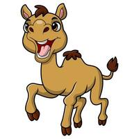 Cute camel cartoon on white background vector