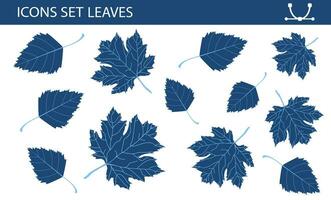 Set leaves, different colors on white background. Concept - Isolated elements for design. Maple leaves, birch leaves vector