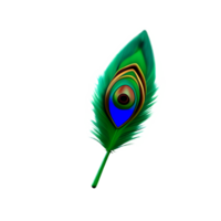 peacock feather 3d rendering icon illustration png