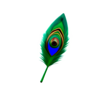 paon plume 3d le rendu icône illustration png