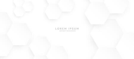 Hexagonal abstract white background. Modern minimalist hexagonal geometric background vector