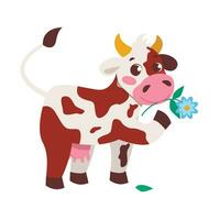 Cute spotted cow with a flower in her mouth. Farm animals. Vector graphic.
