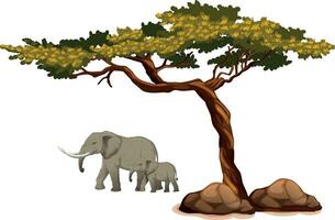 elefante con árbol en blanco antecedentes vector