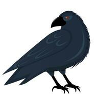 Creepy crow on a white background vector