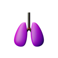 lungs 3d rendering icon illustration png