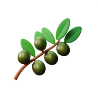 olive branch 3d rendering icon illustration png