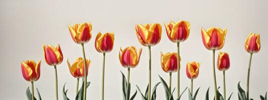 primavera tulipán flores en un fila. ai generado foto