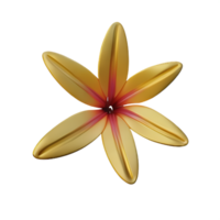 lily 3d rendering icon illustration png