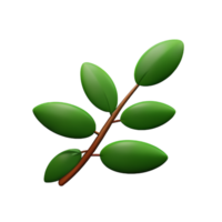 olive branch 3d rendering icon illustration png