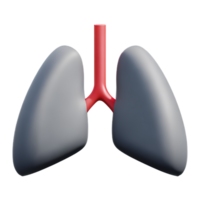 lungs 3d rendering icon illustration png