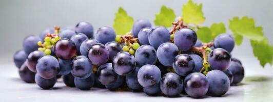 Blue grapes bunch isolated on white background. AI generated photo