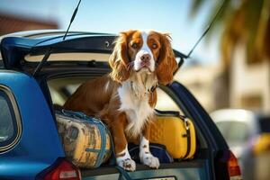 adorable galés saltador spaniel perro sentado en coche trompa, linda perro a espalda de coche Listo para viajar, ai generado foto