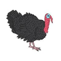 Vector hand drawn sketch doodle colored turkey