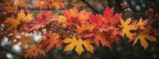 Colorful autumn maple leaves on a tree branch. AI generated photo