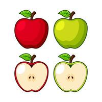 Vector red and green apples fruit on white background