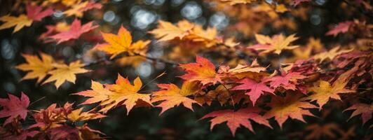 Colorful autumn maple leaves on a tree branch. AI generated photo