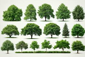 Set of green trees isolated on white background. Different kinds of tree collection. AI generated photo