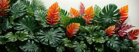 Tropical leaves foliage plant jungle bush floral arrangement nature backdrop isolated on white background, clipping path included.. AI generated photo