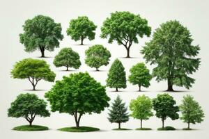 Set of green trees isolated on white background. Different kinds of tree collection. AI generated photo