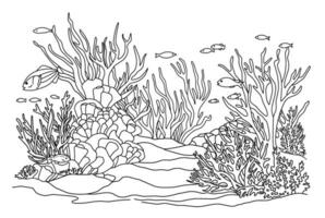 Ocean bottom coloring page with fish and algae. Sea life coloring book vector