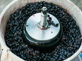 The process of making homemade grape wine. The operation of a hydraulic press to obtain grape juice for fermentation. photo