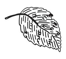 contorno clipart de caído hoja. garabatear de otoño botánica atributo. mano dibujado vector ilustración aislado en blanco antecedentes.