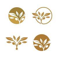 Olive logo design element vector with creative concept