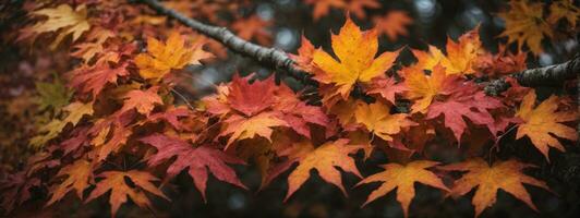 Colorful autumn maple leaves on a tree branch. AI generated photo