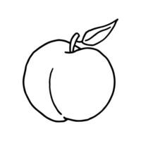 Fruit doodle peach. Fresh, healthy, tropical food. Hand drawn illustration. vector