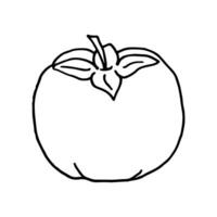 Fruit doodle persimmon. Fresh, healthy, tropical food. Hand drawn illustration. vector