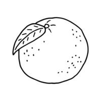 Fruit doodle orange. Fresh, healthy, tropical food. Hand drawn illustration. vector