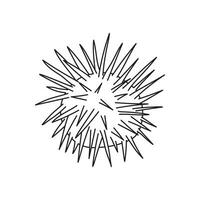 Hand drawn Cartoon Vector illustration sea urchins icon Isolated on White Background