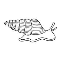 Hand drawn Cartoon Vector illustration sea snail icon Isolated on White Background