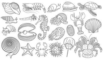 set of hand drawn underwater creatures. hermit crab, lobster, seashells, snail, coconut crab, sea turtle, sea star, cowry, chiton, nautilus, horseshoe crab vector