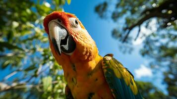 Photo of Parrot in ther forest with blue sky. Generative AI