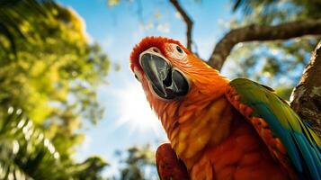 Photo of Parrot in ther forest with blue sky. Generative AI