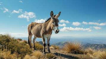 Photo of a Zonkey under Blue Sky. Generative AI