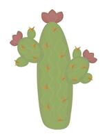 High long green cactus with flowers, color vector illustration