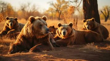 Photo of a herd of Bear resting in an open area on the Savanna. Generative AI