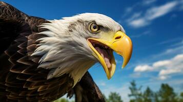 Photo of a Eagle under Blue Sky. Generative AI