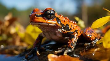 de cerca foto de un xenopus rana mirando ninguna dirección. generativo ai