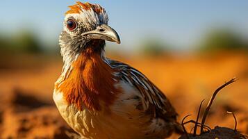 Close-up photo of a Quail looking any direction. Generative AI