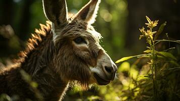 Close-up photo of a Donkey looking any direction. Generative AI