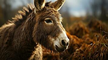 de cerca foto de un Burro mirando ninguna dirección. generativo ai