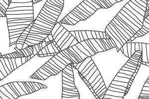 Seamless pattern, hand drawn  banana leaves vector