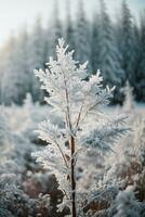 white wood covered with frost frosty landscape. AI generated photo