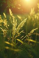 Wild grass in the forest at sunset. Macro image, shallow depth of field. Abstract summer nature background. Vintage filter. AI generated photo