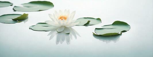 Zen flower lotus in water. AI generated photo