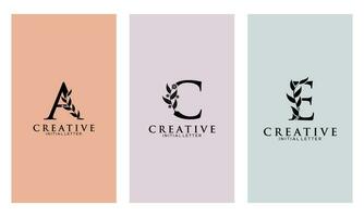 Set of Botanical Minimalistic Initial Letter A, C, E Logo Vector Template